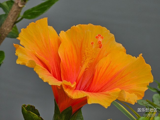 【迎春，在冬末】3月