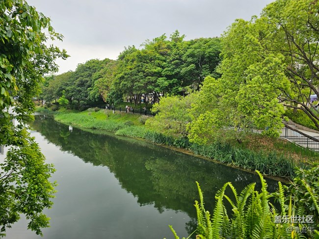 【迎春，在冬末】3月