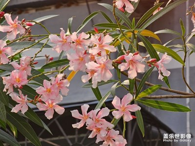 【鏡藏萬象】三月