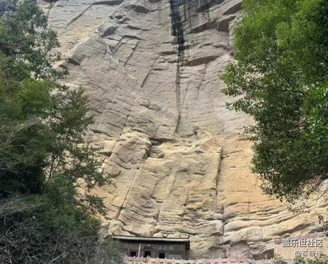 【途有春光】武夷山春天