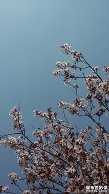 恰到好處，描述今天。