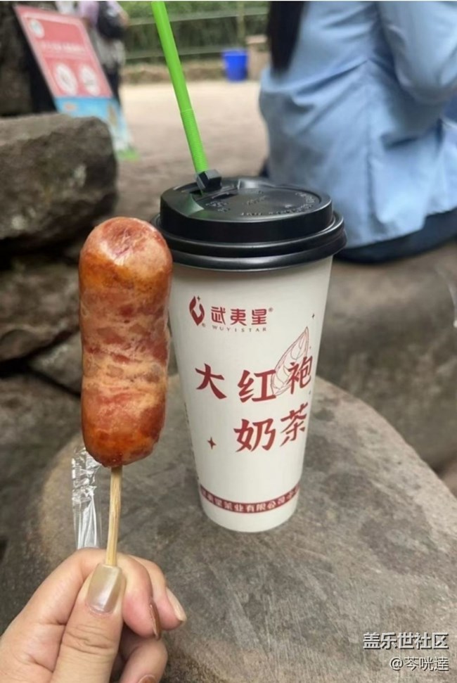 【途有春光】武夷山春天