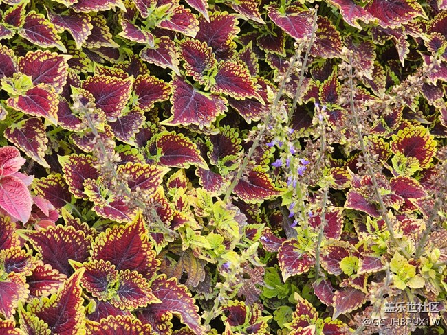 【一鏡藏春】春天的顏色