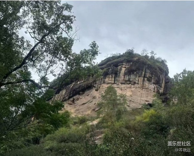 【途有春光】武夷山春天