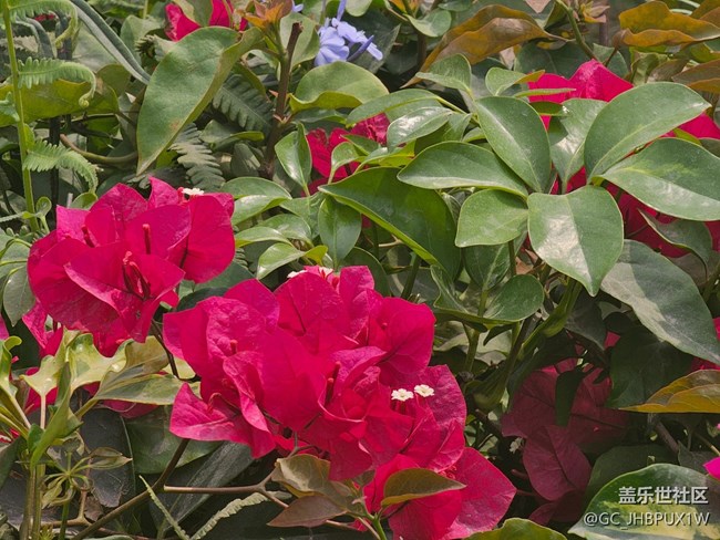 【一鏡藏春】春天的顏色