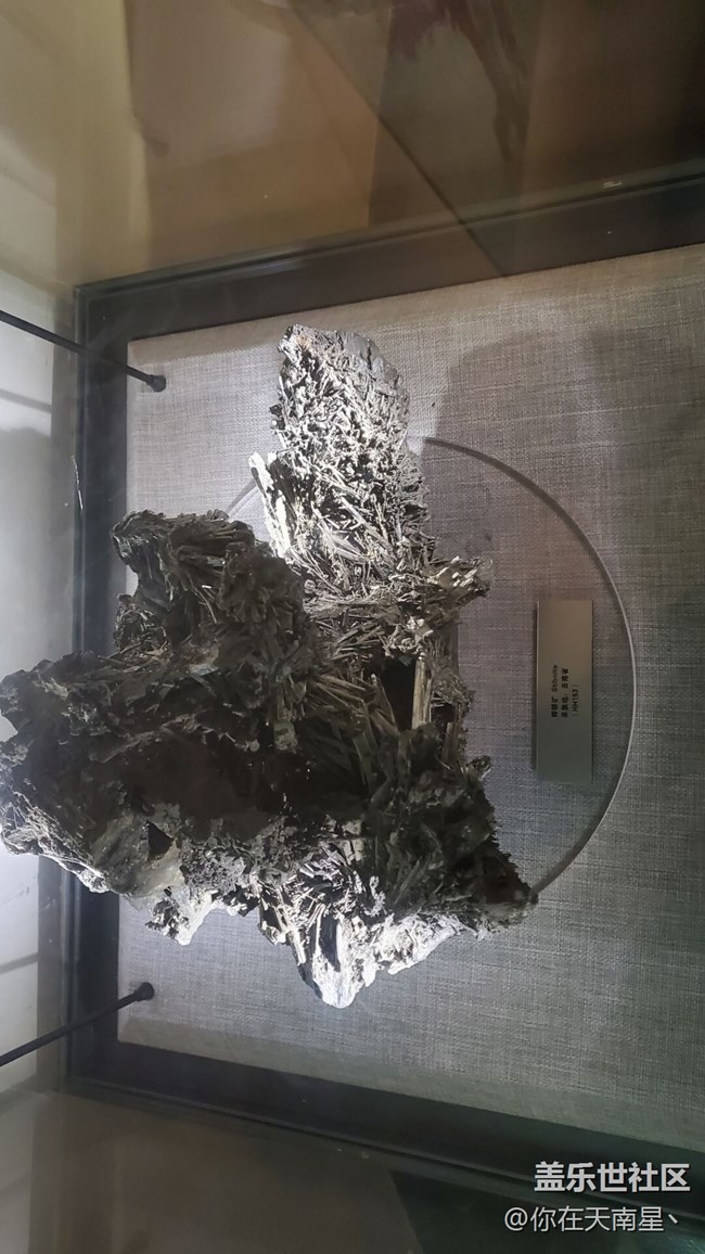 云南博物館的各種石頭