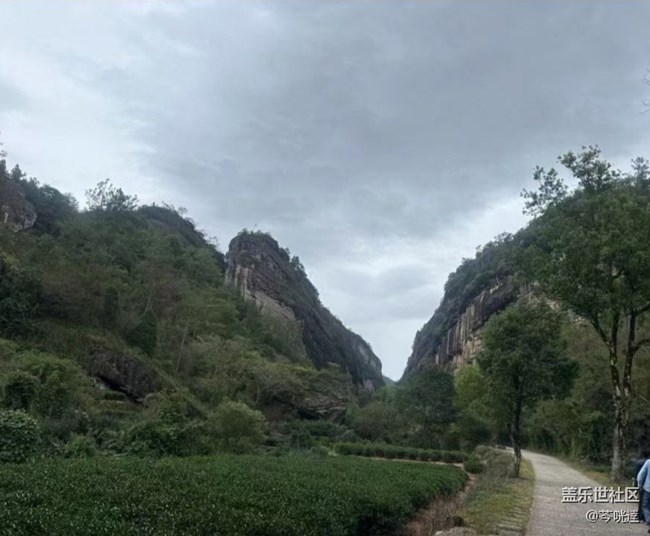 【途有春光】武夷山春天