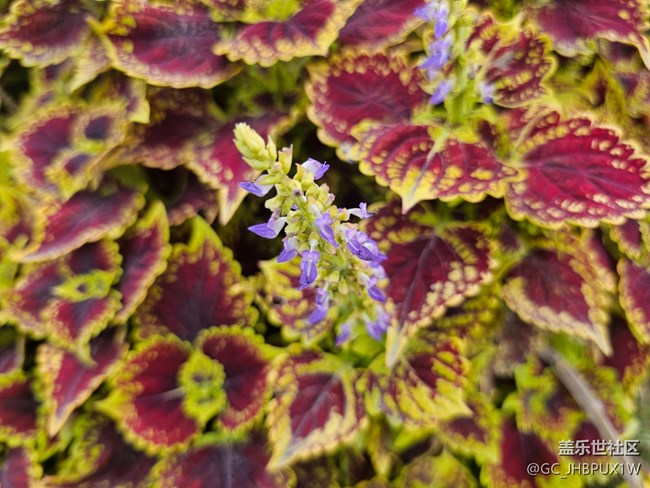 【一鏡藏春】春天的顏色