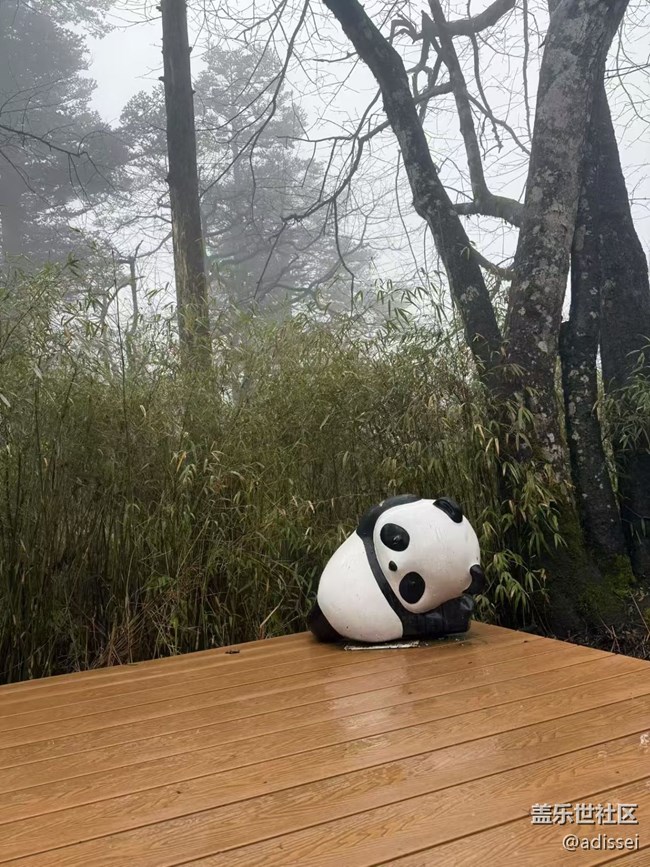 【途有春光】峨眉金頂