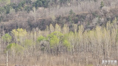 【鏡藏萬(wàn)象】春意盎然