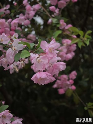 Expert Raw相機(jī)