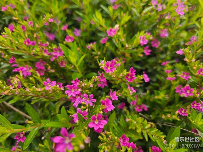 【一鏡藏春】春天的顏色