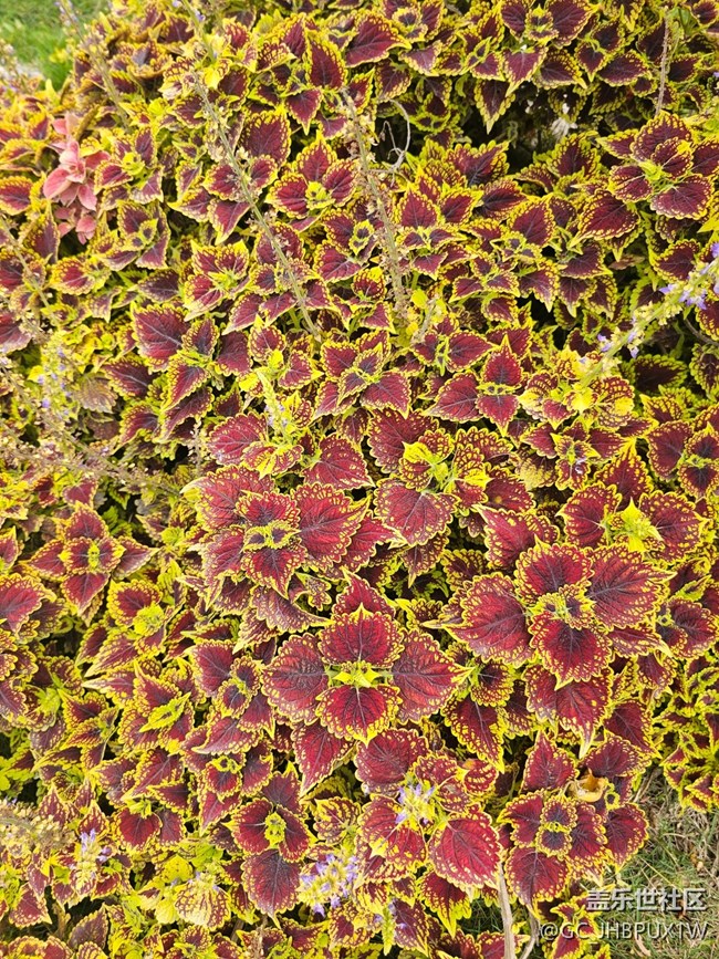 【一鏡藏春】春天的顏色