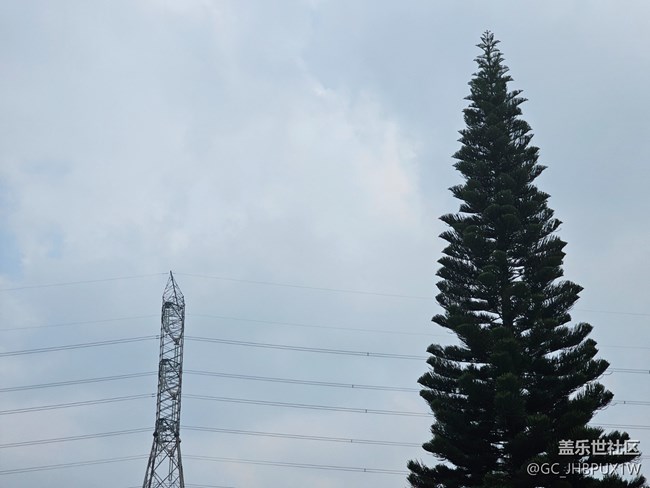 【迎春，在冬末】春日記憶