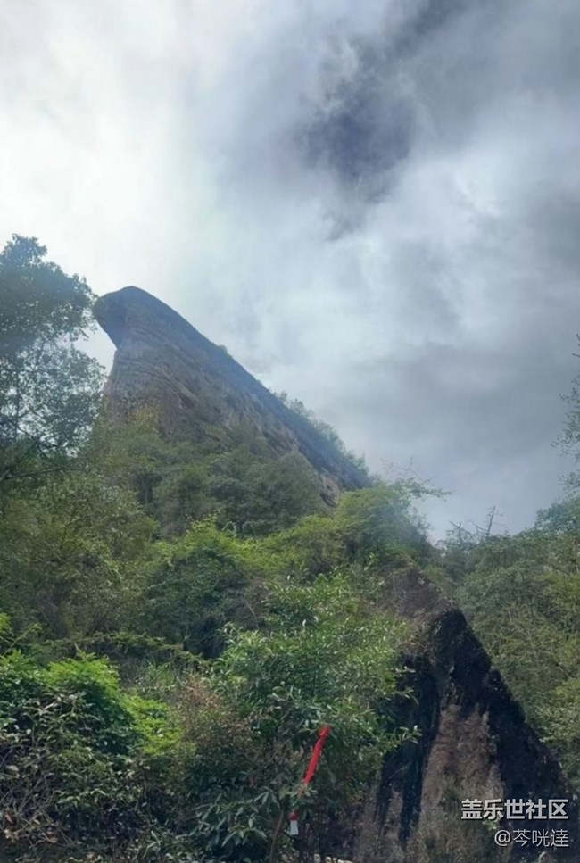 【途有春光】武夷山春天