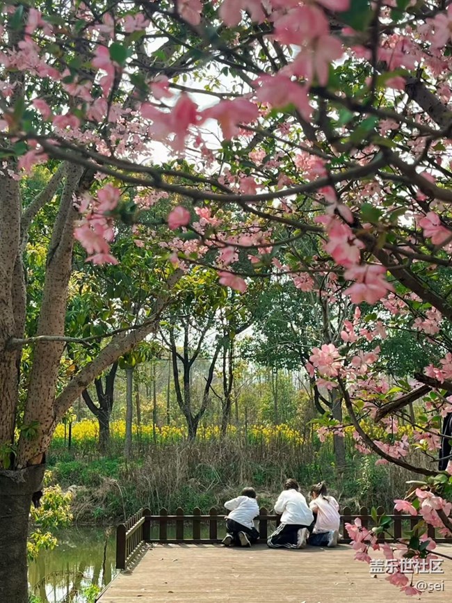 【途有春光】不負春光