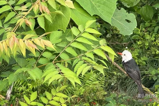 【途有春光】養(yǎng)眼