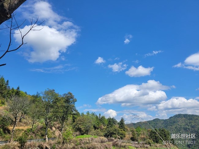 【途有春光】春天美景