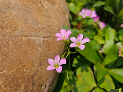 【鏡藏萬(wàn)象】隨拍