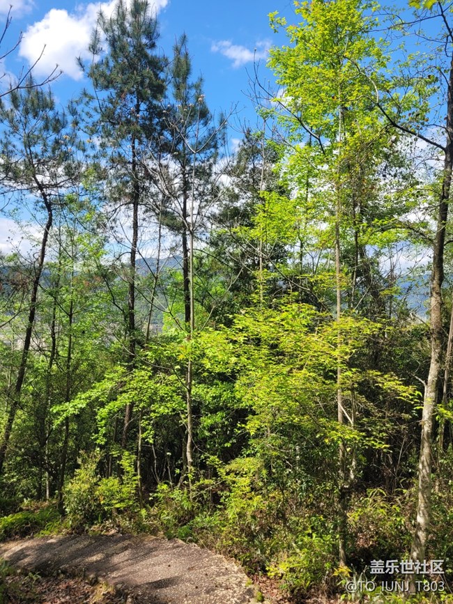 【途有春光】春天美景