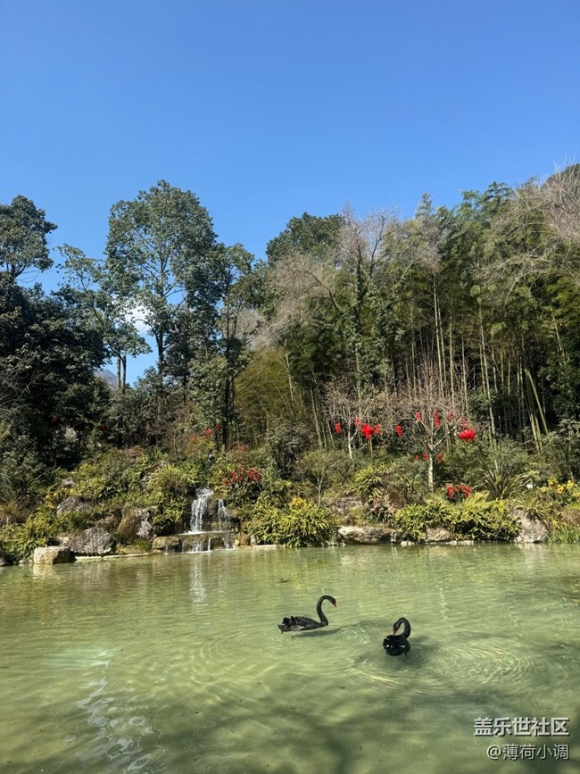 【途有春光】逛動(dòng)物園