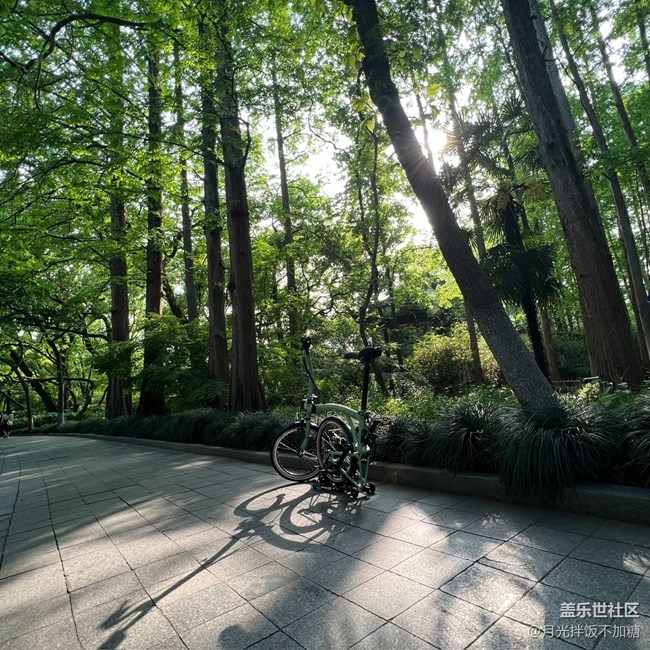 【途有春光】尋覓春光