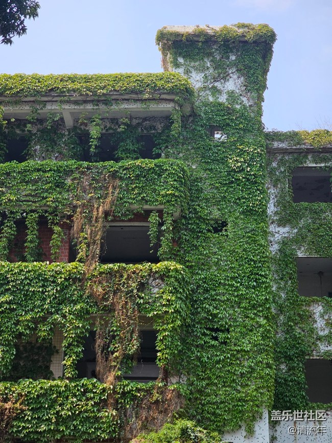 【途有春光】途中之景