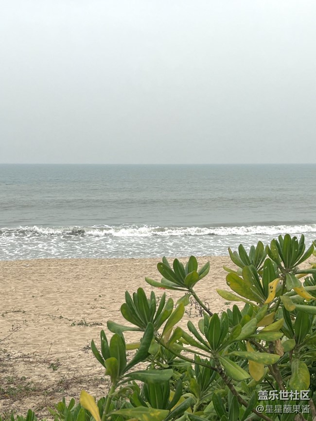 【途有春光】海邊小拍