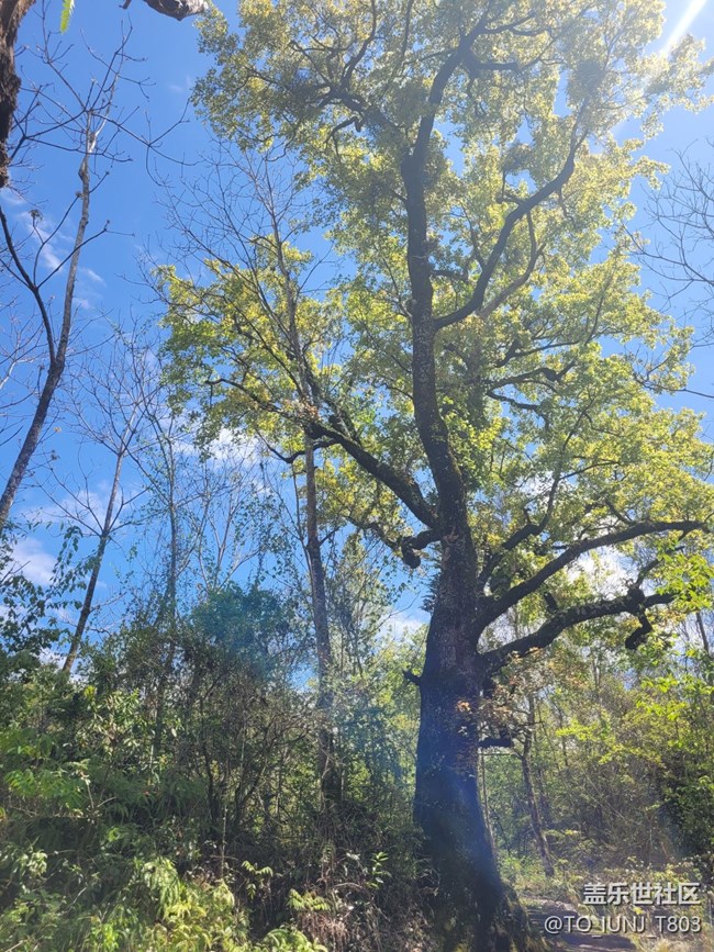 【途有春光】春天美景
