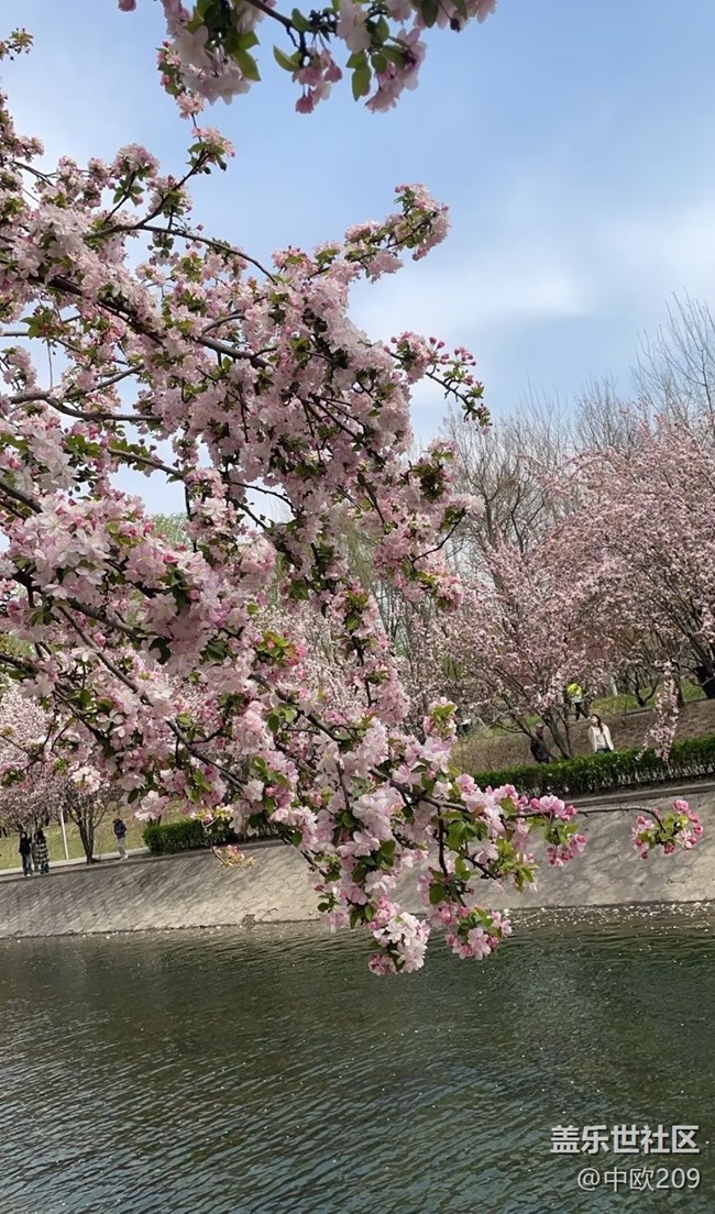 【途有春光】賞春