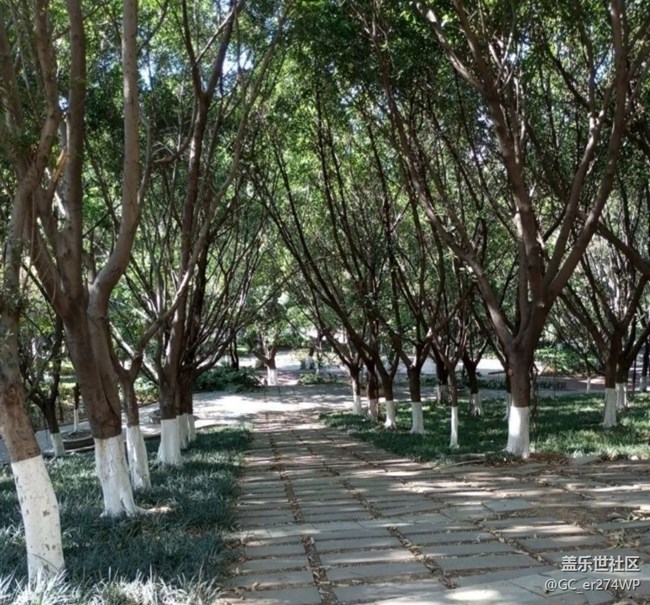 【途有春光】春日公園