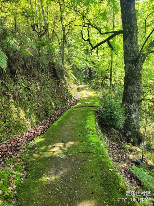 【途有春光】春天美景