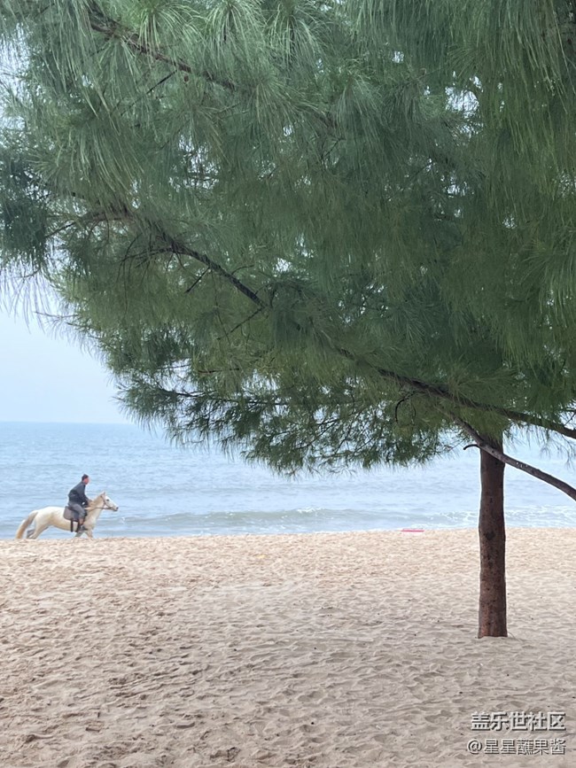 【途有春光】海邊小拍