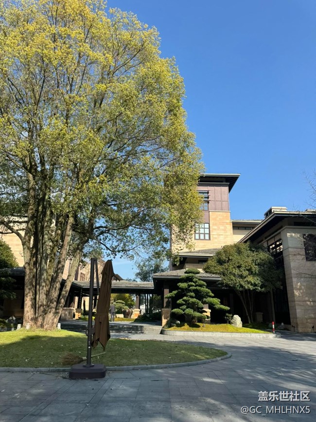 【途有春光】湖邊美景