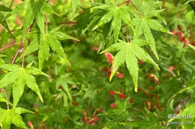 【途有春光】養(yǎng)眼