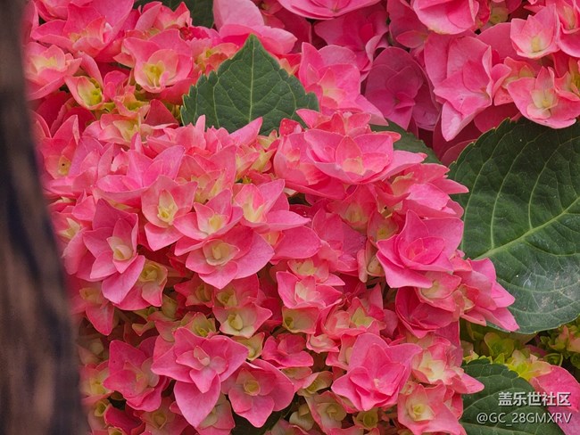 【途有春光】途中春光