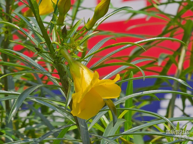 【途有春光】途中之景