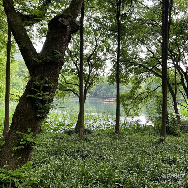 【途有春光】尋覓春光