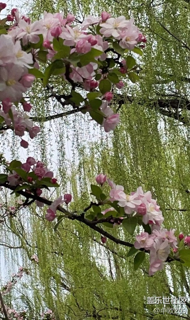 【途有春光】賞春