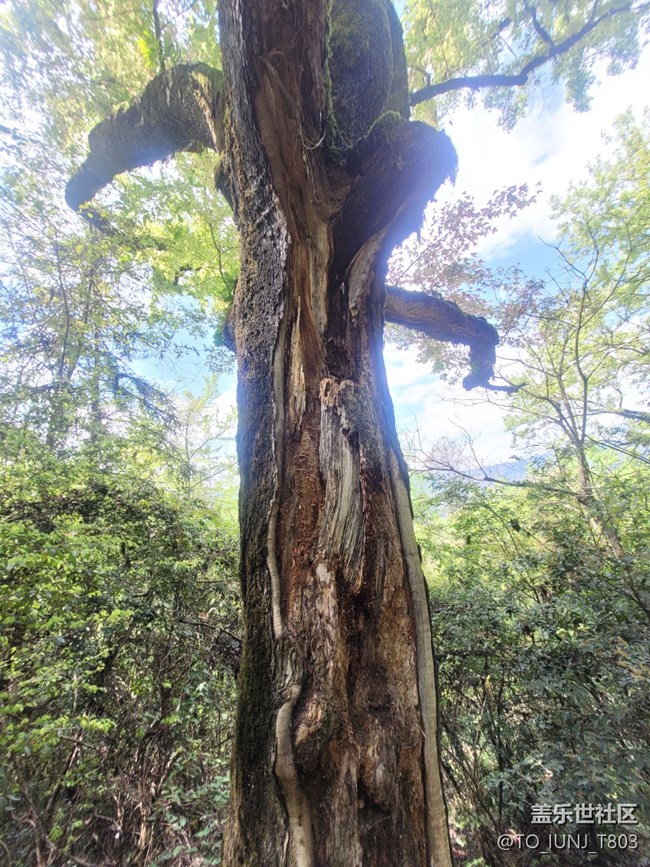 【途有春光】春天美景