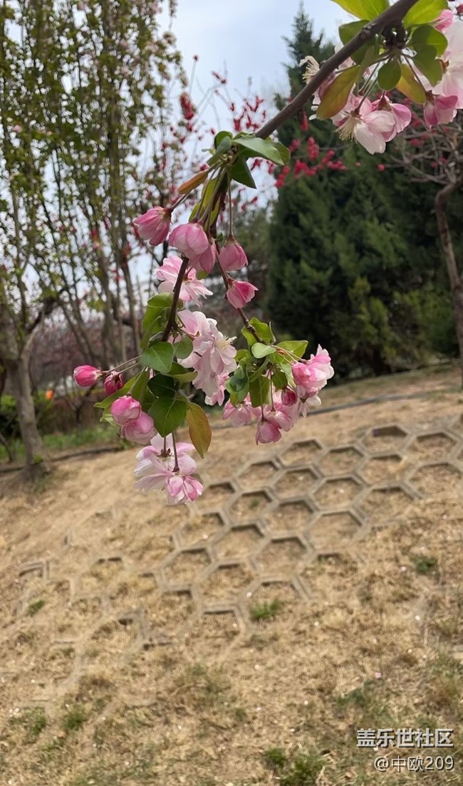 【途有春光】賞春