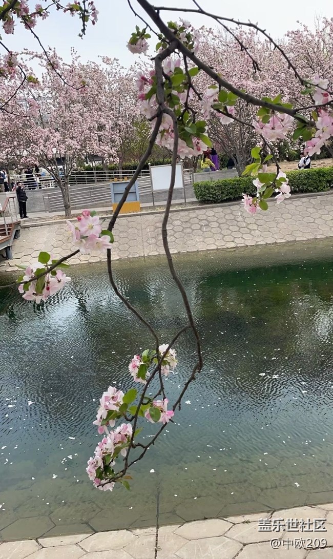 【途有春光】賞春