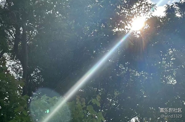 【途有春光】養(yǎng)眼