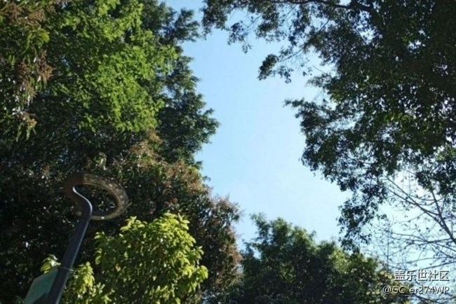 【途有春光】春日公園