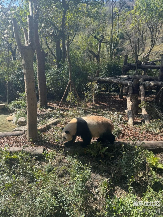 【途有春光】逛動(dòng)物園