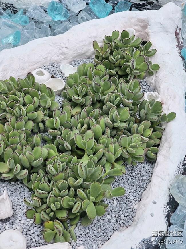 【途有春光】途中春光