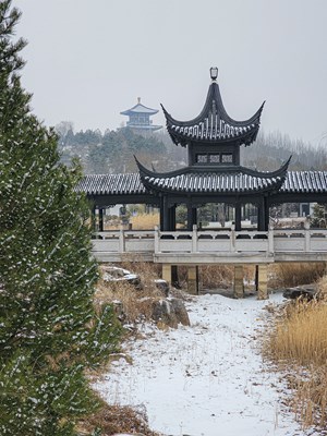 Galaxy S23 Ultra 初雪園林小景（二）