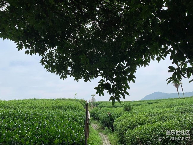 【途有春光】春意盎然