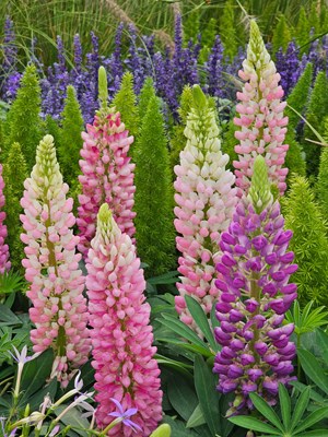 【鏡藏萬(wàn)象】假日顏色