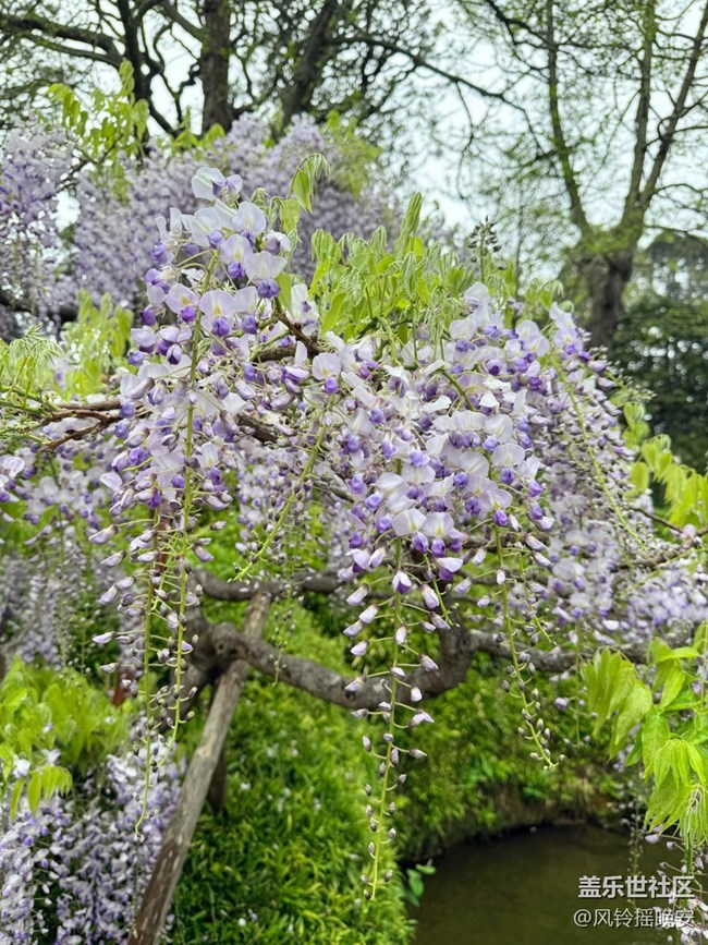 【途有春光】春花